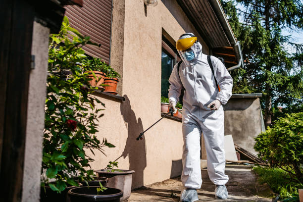Best Best Pest Control Companies  in Seguin, TX