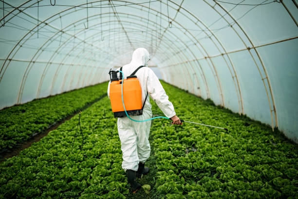 Best Pest Control Cost  in Seguin, TX