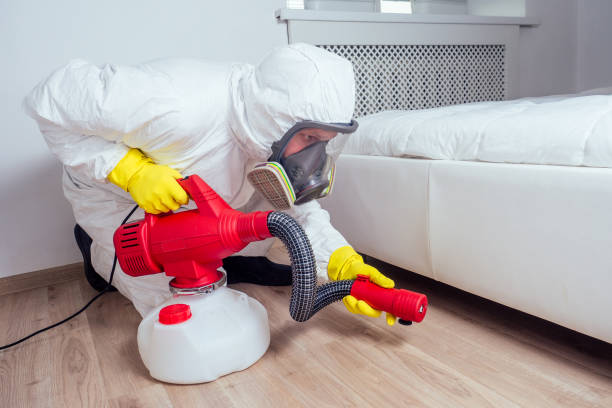Best Affordable Pest Control Services  in Seguin, TX