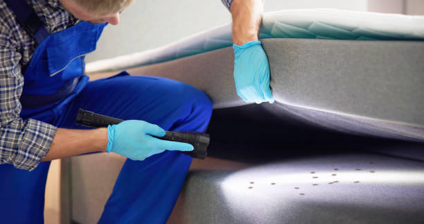 Best Pest Inspection Near Me  in Seguin, TX