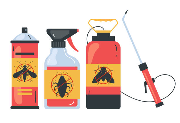 Best Local Pest Control Services  in Seguin, TX