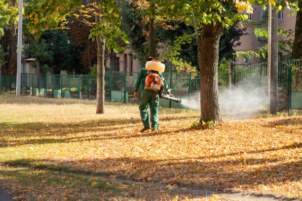 Best Flea Control Services  in Seguin, TX