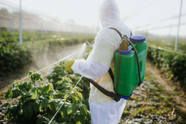 Best Best Pest Control Companies  in Seguin, TX